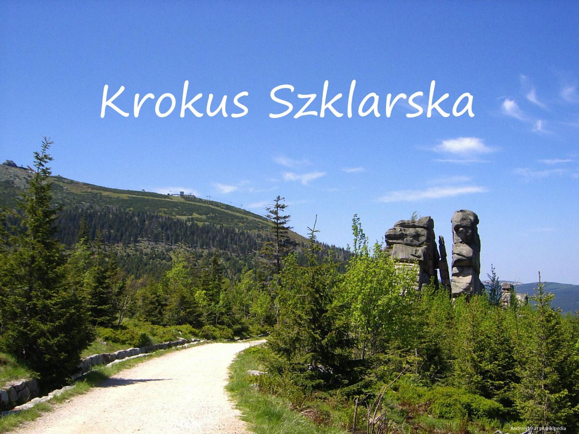 Apartment Krokus Szklarska